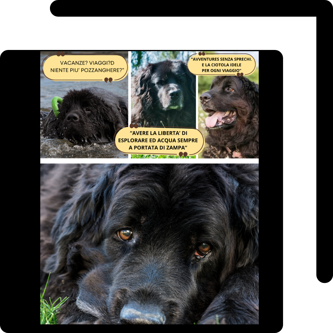 BAUBOWL®- ciotola-galleggiante-per-acqua-cani-gatti