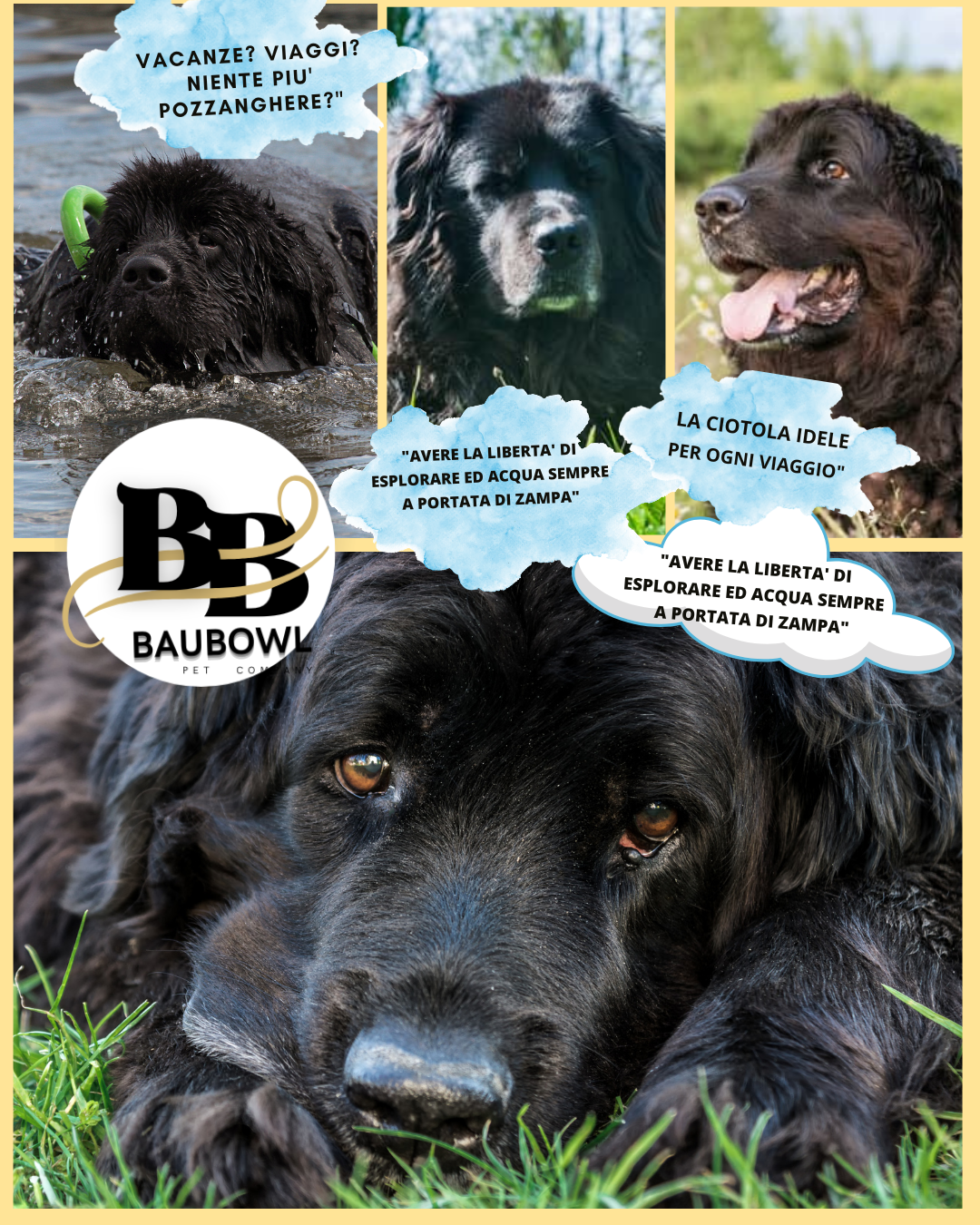 BAUBOWL®- ciotola-galleggiante-per-acqua-cani-gatti