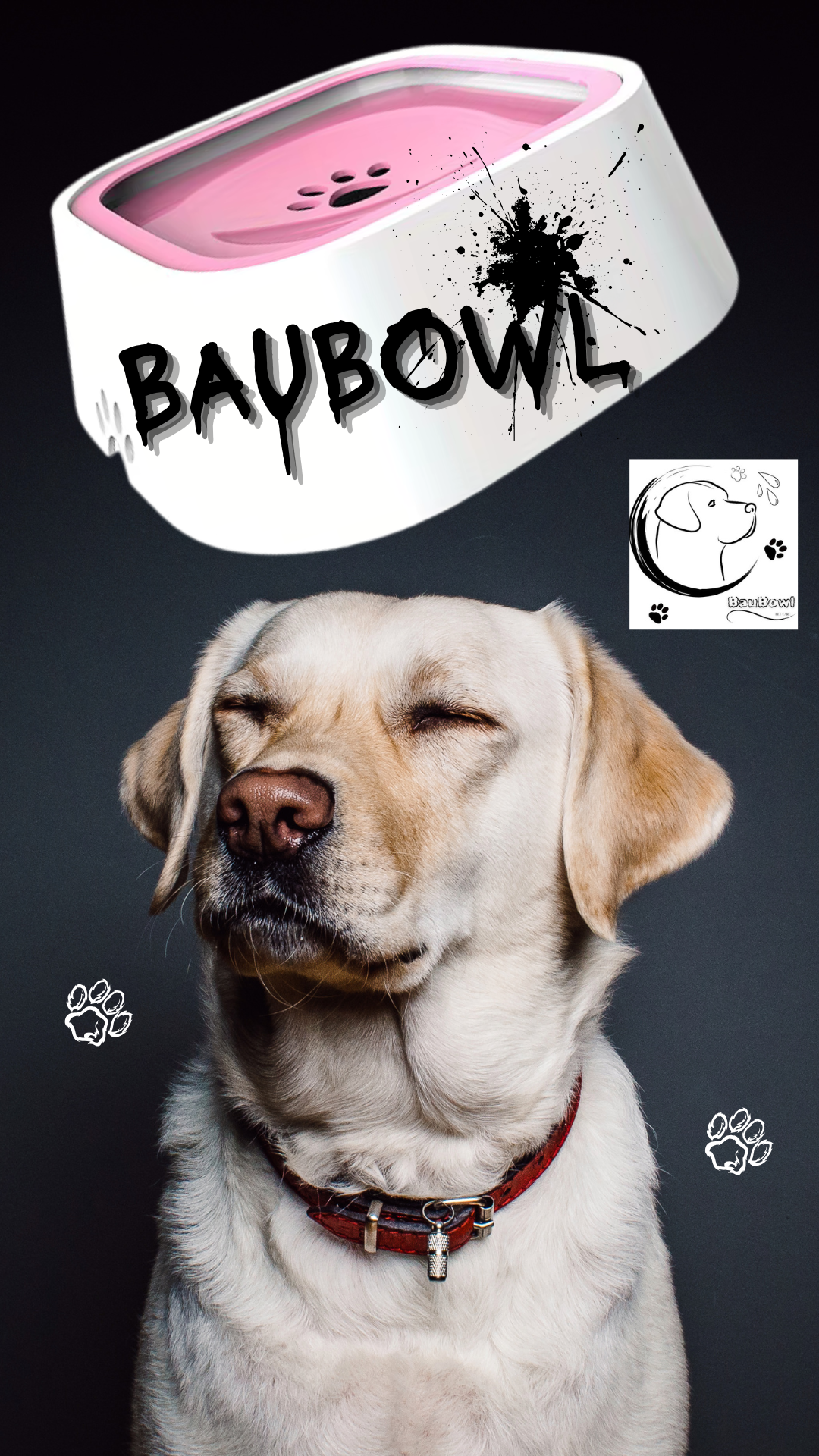 BAUBOWL®- ciotola-galleggiante-per-acqua-cani-gatti