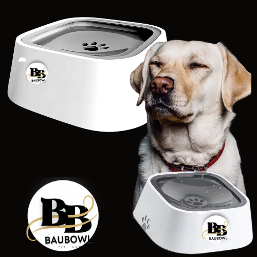 BAUBOWL®- ciotola-galleggiante-per-acqua-cani-gatti