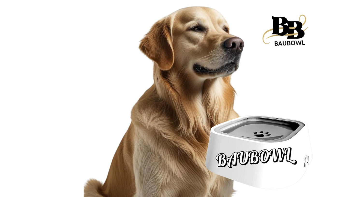 BAUBOWL®- ciotola-galleggiante-per-acqua-cani-gatti