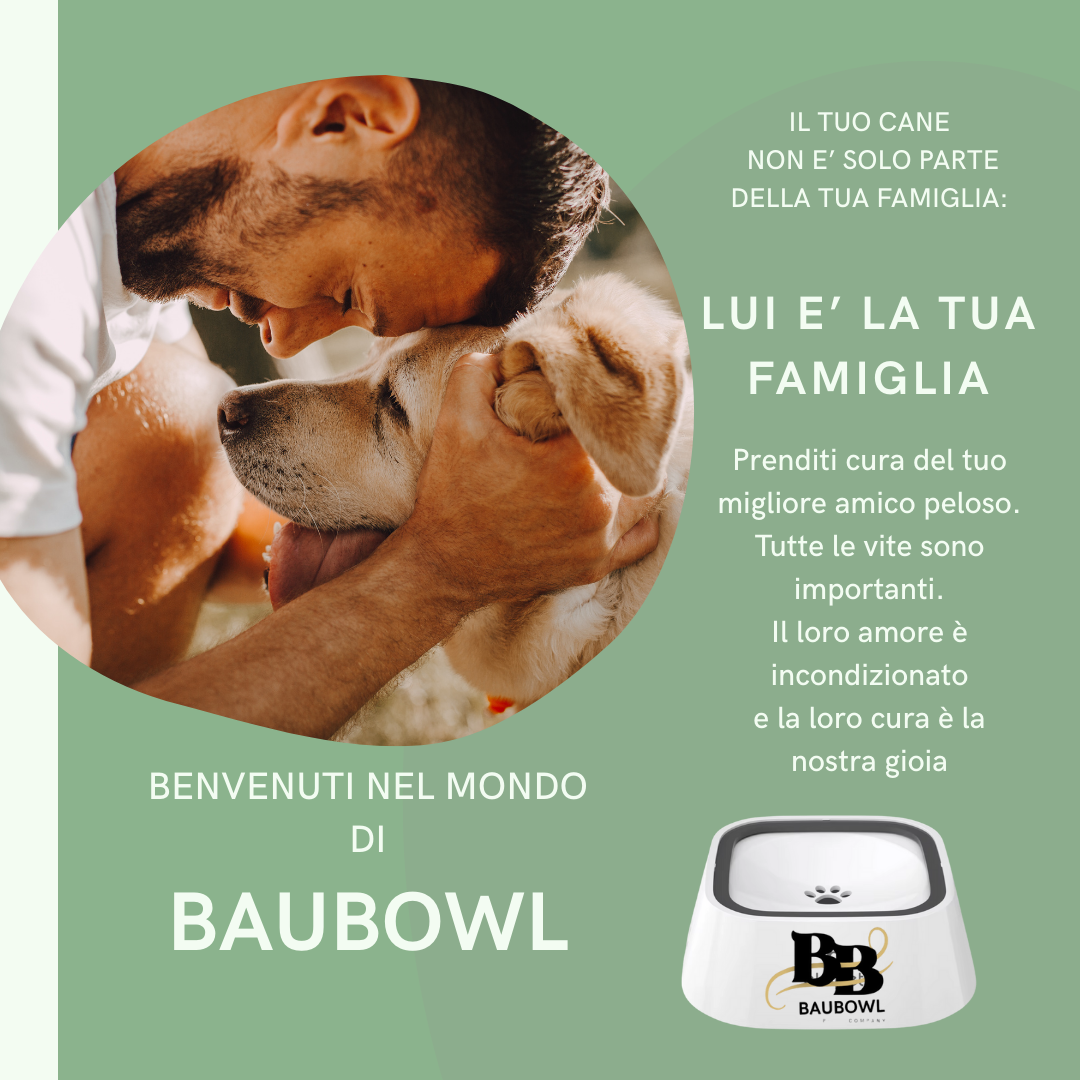 BAUBOWL®- ciotola-galleggiante-per-acqua-cani-gatti