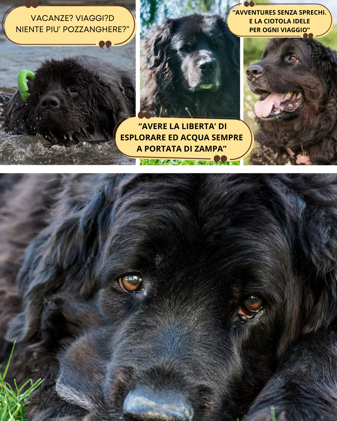 BAUBOWL®- ciotola-galleggiante-per-acqua-cani-gatti