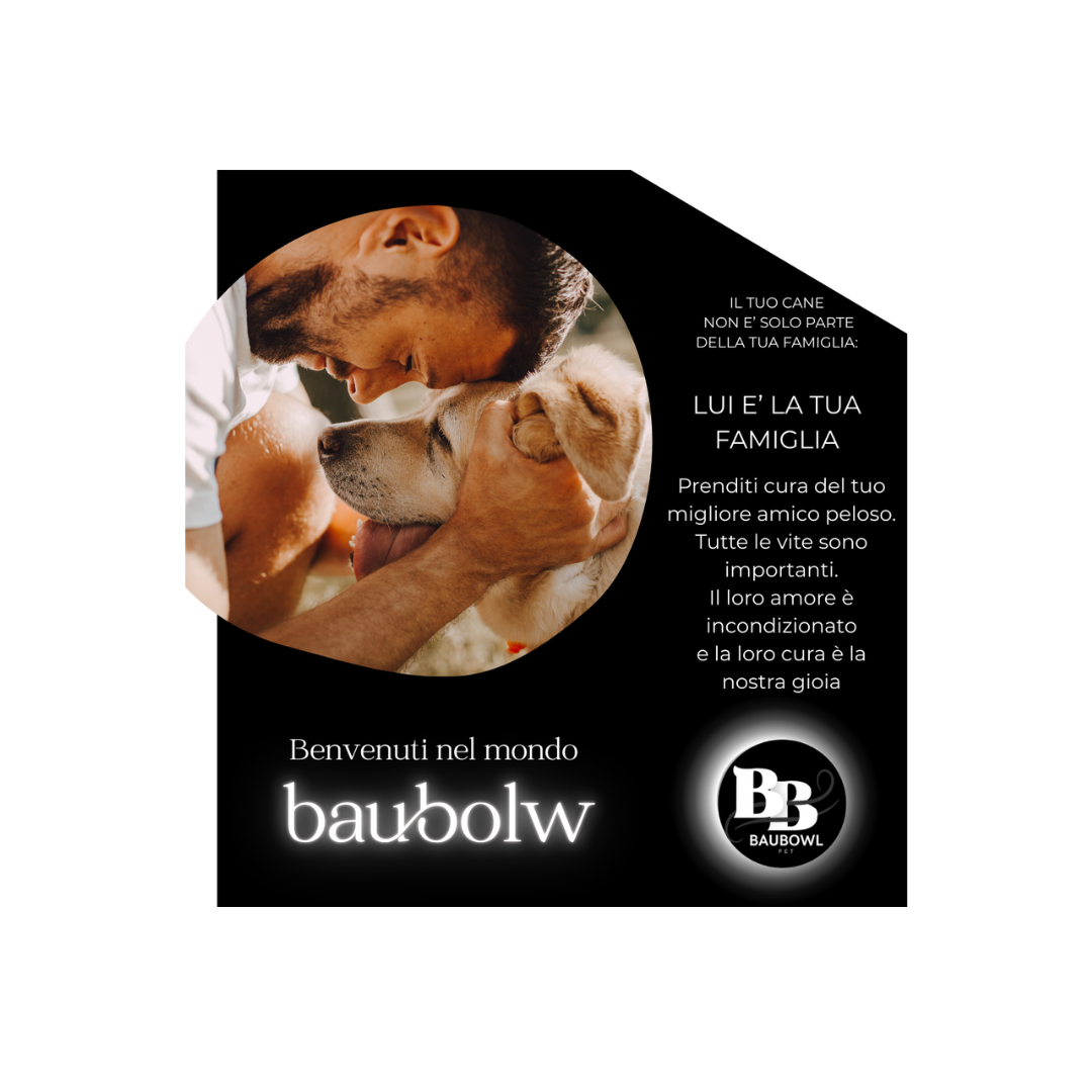 BAUBOWL®- ciotola-galleggiante-per-acqua-cani-gatti