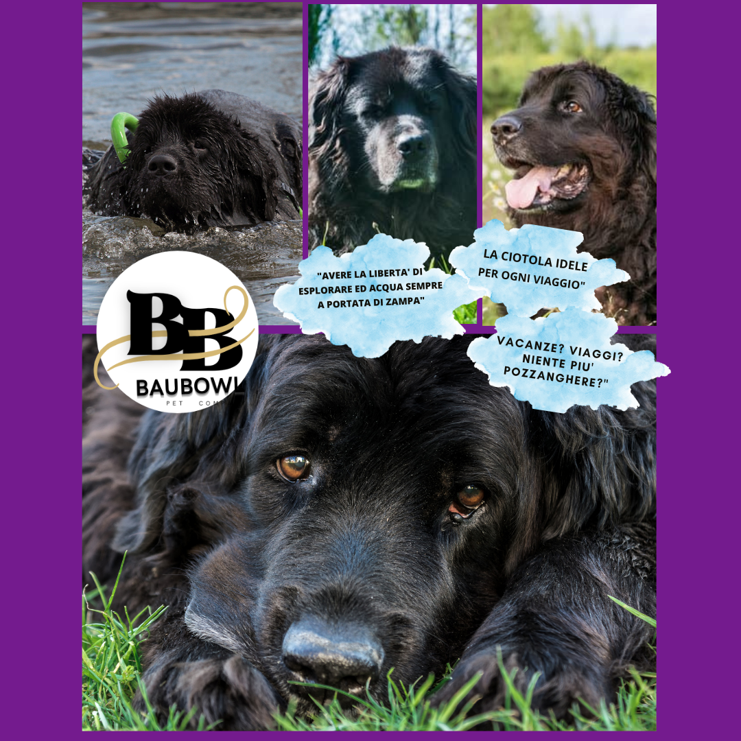 BAUBOWL®- ciotola-galleggiante-per-acqua-cani-gatti