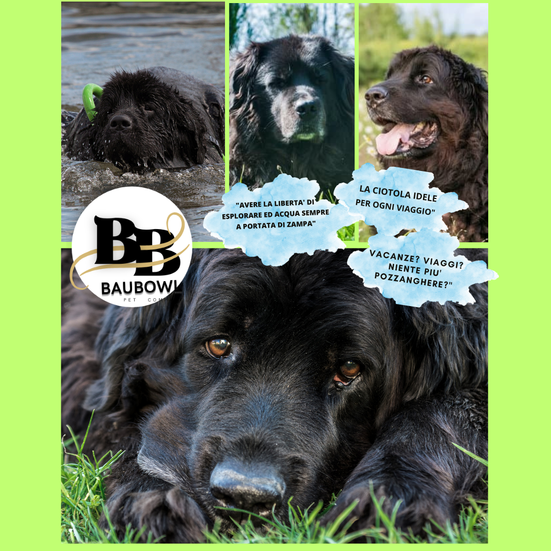 BAUBOWL®- ciotola-galleggiante-per-acqua-cani-gatti