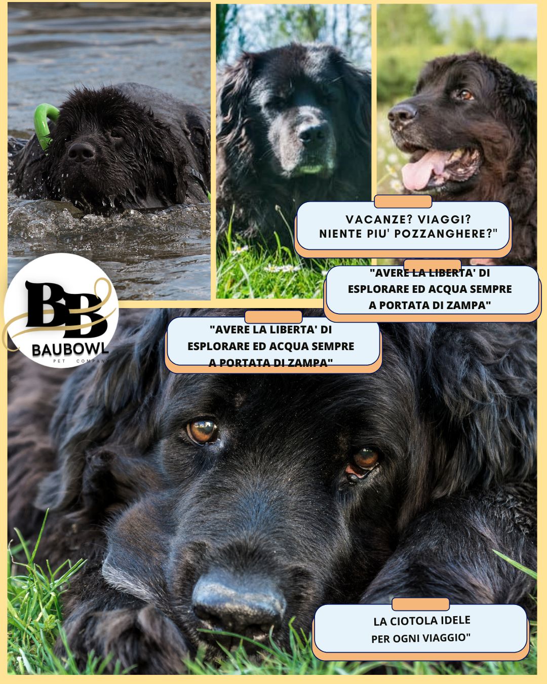 BAUBOWL®- ciotola-galleggiante-per-acqua-cani-gatti