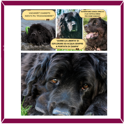 BAUBOWL®- ciotola-galleggiante-per-acqua-cani-gatti