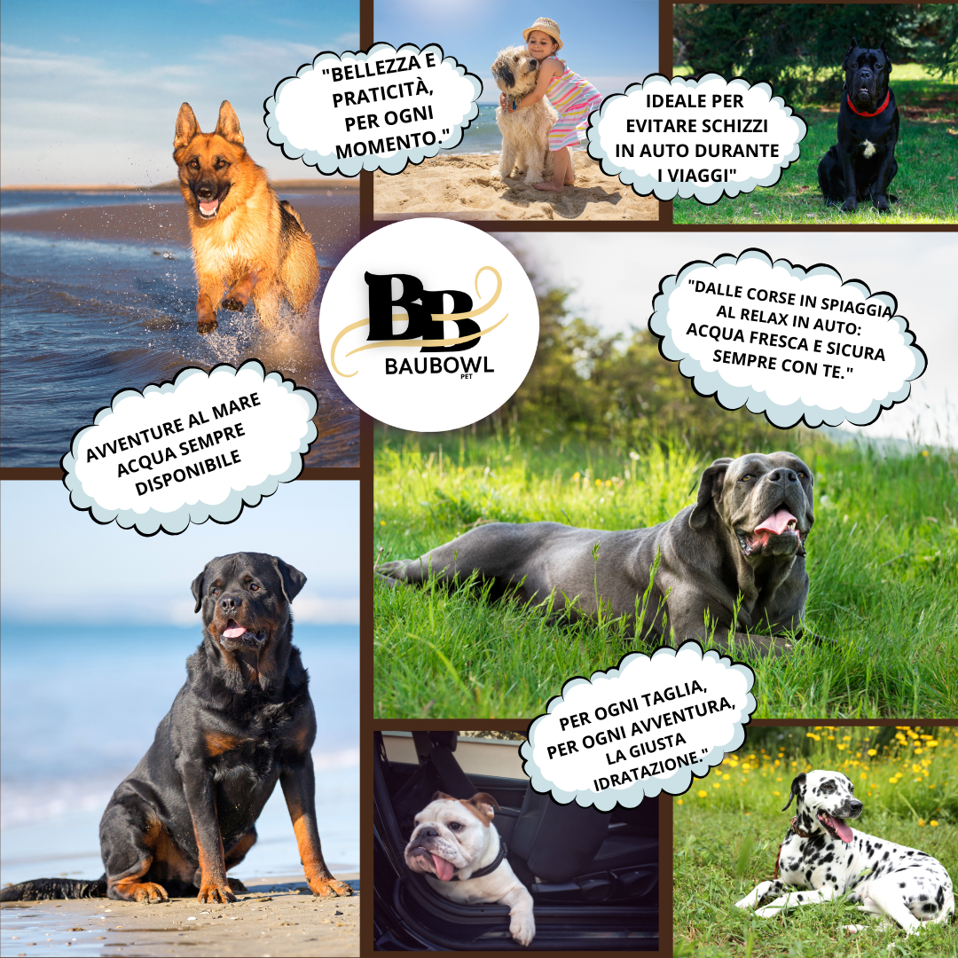 BAUBOWL®- ciotola-galleggiante-per-acqua-cani-gatti