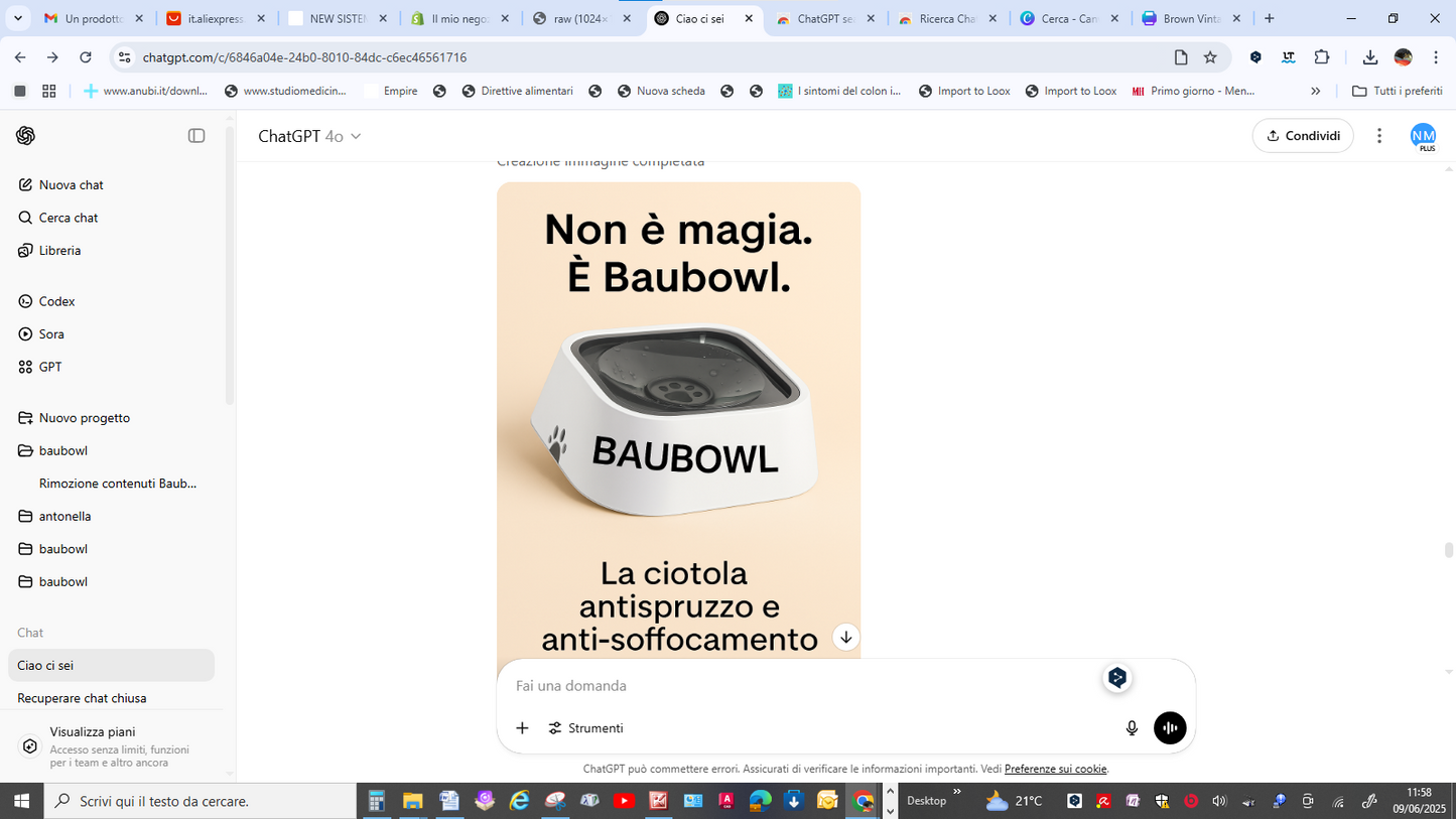 BAUBOWL®- ciotola-galleggiante-per-acqua-cani-gatti