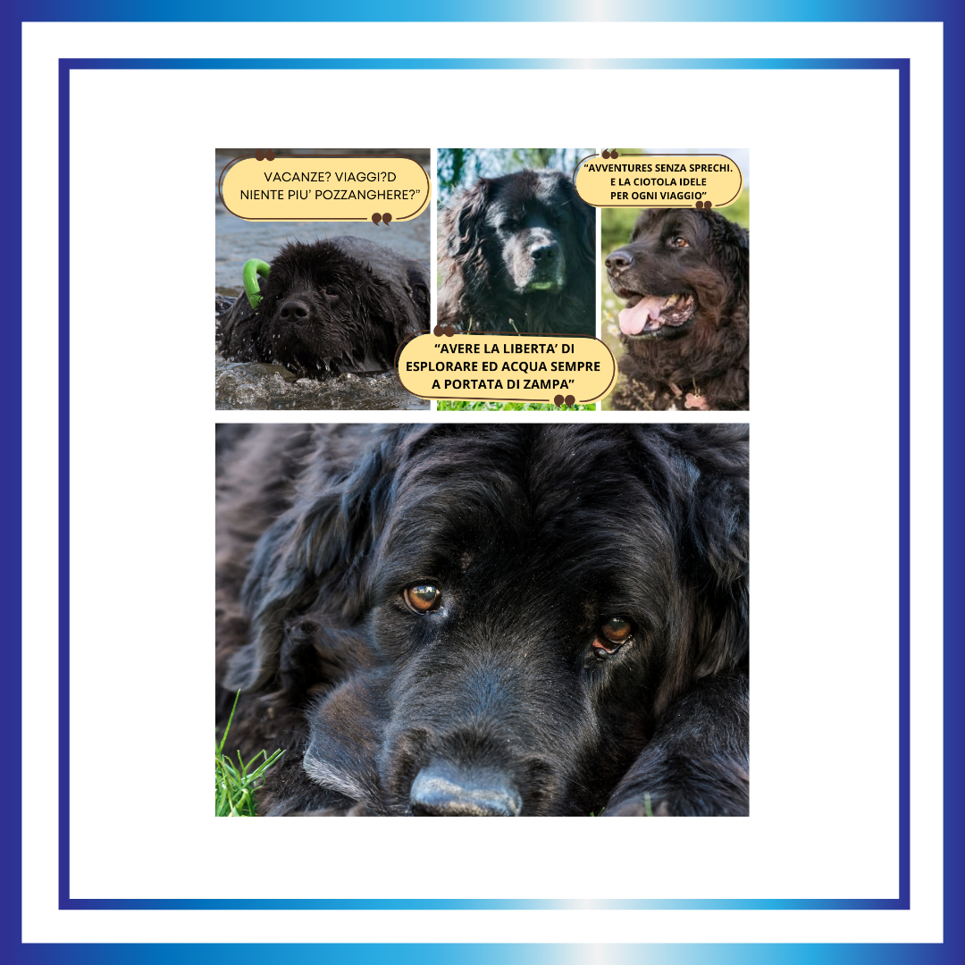 BAUBOWL®- ciotola-galleggiante-per-acqua-cani-gatti
