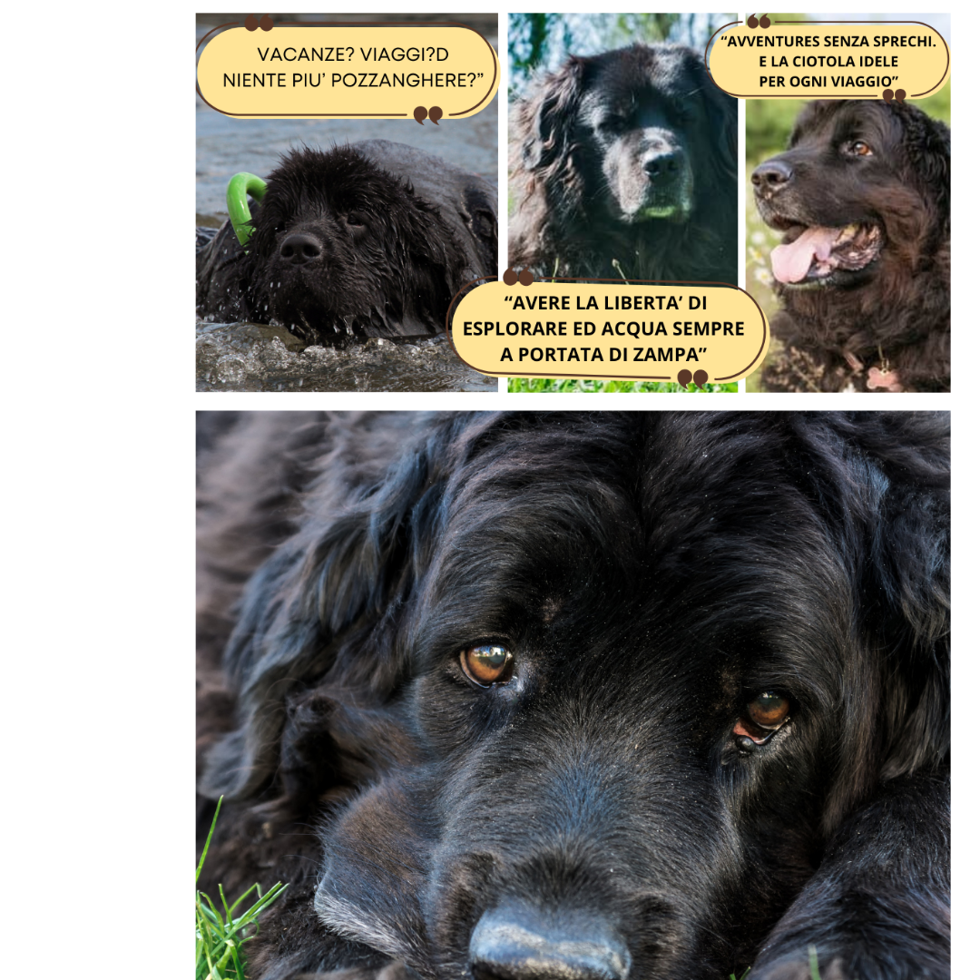 BAUBOWL®- ciotola-galleggiante-per-acqua-cani-gatti